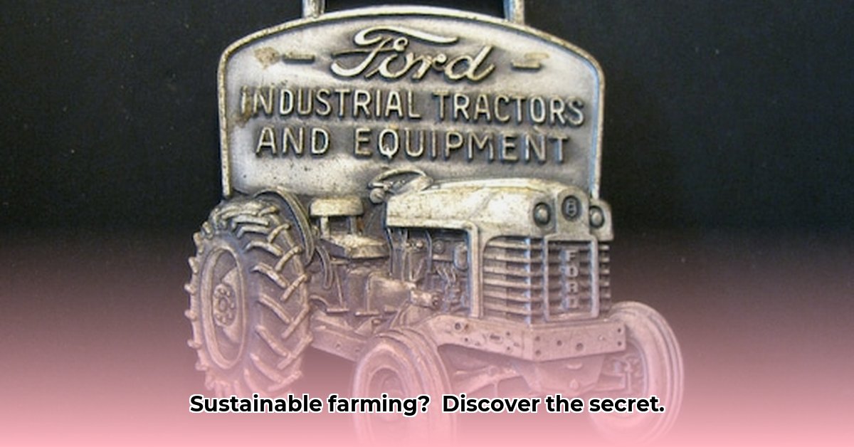 hobo-tractor-co-inc
